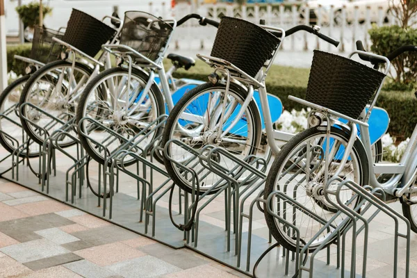 두 바이에 있는 임대용 도시 자전거 주차장 — 스톡 사진