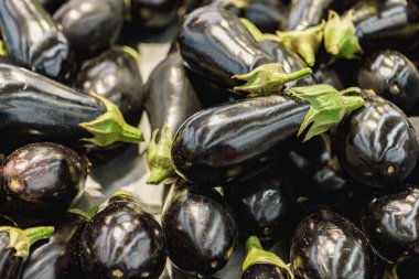 Süpermarkette satılık patlıcan yığını.