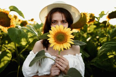 Ayçiçeği tarlasında poz veren çekici genç kadın model.