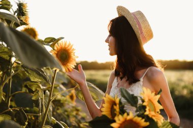 Genç bir kadın sabah ayçiçeği tarlasında yürüyüş yapıyor.