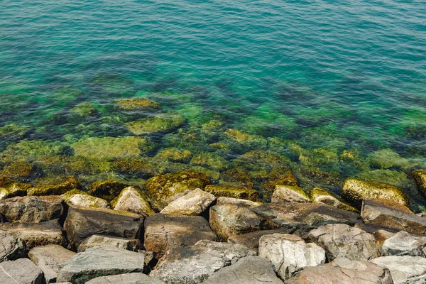 Gros plan de pierres et d'eau claire sur le rivage d'une plage — Photo