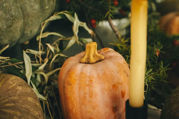 Rustic autumn decor arrangement with pumpkins close up — Stock Photo, Image