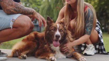 Genç bir çiftin parkta yürürken köpeğini okşaması.