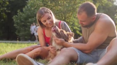 Genç çift güneşli yaz gününde çimenlerde oturup köpeklerini okşuyor.