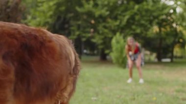 Yaz günü parkta köpeğiyle oynayan genç bir kadın.