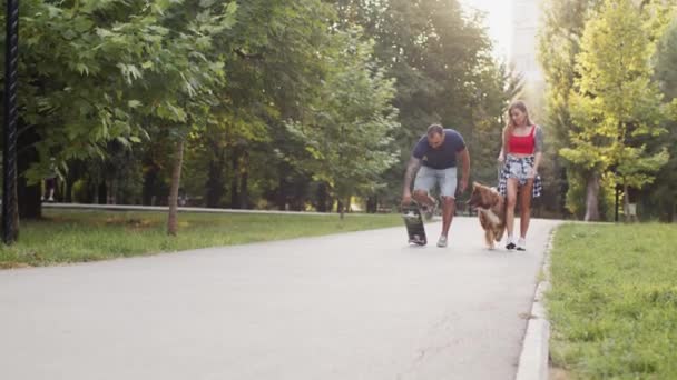 Jovem patinador e sua namorada ter um passeio no parque com seu cão — Vídeo de Stock