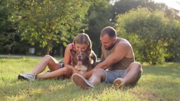 Fiatal pár ül a parkban a füvön, és simogatja a kutyát a napos nyári napon — Stock videók
