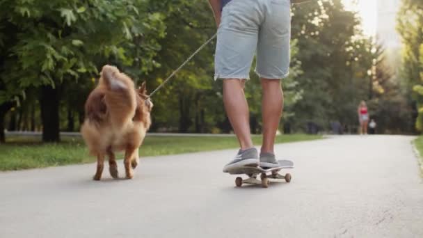 Un tânăr patinator care se plimbă în parc cu câinele său — Videoclip de stoc