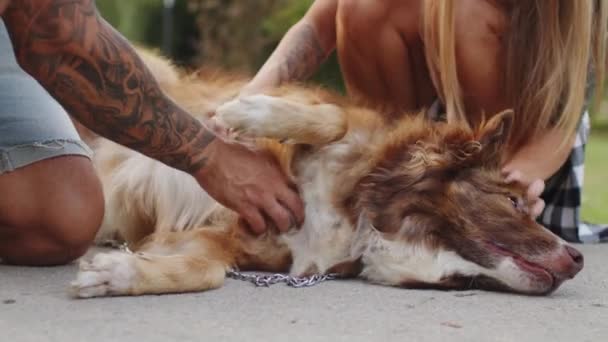 Close up de jovem casal acariciando seu cão enquanto passeia no parque — Vídeo de Stock