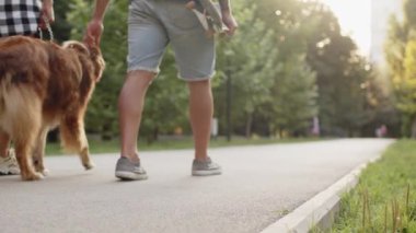 Tanımlanamayan bir çift yaz akşamı köpeğini şehir parkında gezdiriyor.