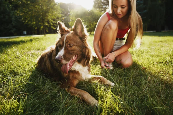 Close up de jovem fêmea com seu cão sentado na grama no parque — Fotografia de Stock