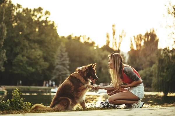 Joven mujer y Border Collie perro pasar tiempo en el parque — Foto de Stock