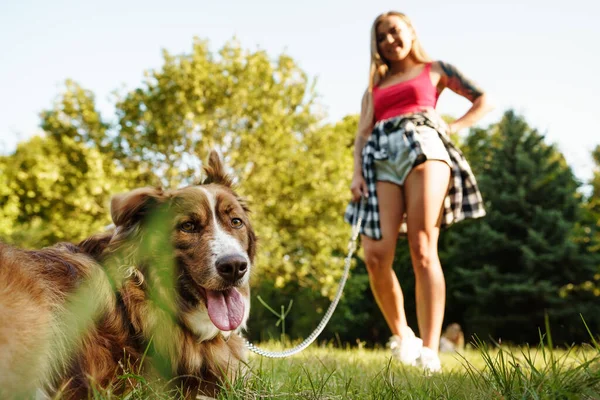 Border Collie dog on a walk in park with its female owner — Stock Photo, Image