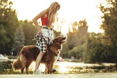Collie 'nin köpeği, kadın sahibiyle parkta yürüyüşe çıktı.