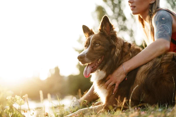 Jovem mulher e fronteira Collie cão passar tempo no parque — Fotografia de Stock