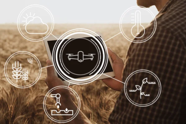 Фермер стоїть з цифровим планшетом у пшеничному полі з використанням сучасних технологій у сільському господарстві — стокове фото