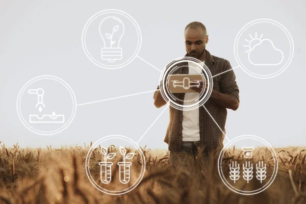Genç adam buğday tarlasında tablet kullanıyor, tarım kavramı — Stok fotoğraf