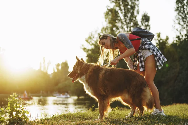 Fronteira Collie cão em um passeio no parque com seu proprietário do sexo feminino — Fotografia de Stock