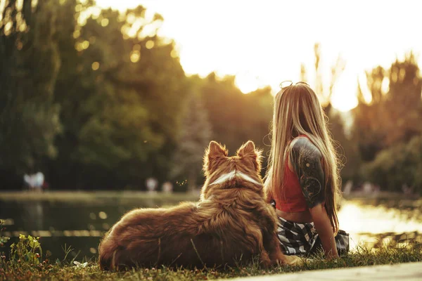 Close up de jovem fêmea com seu cão sentado na grama no parque — Fotografia de Stock