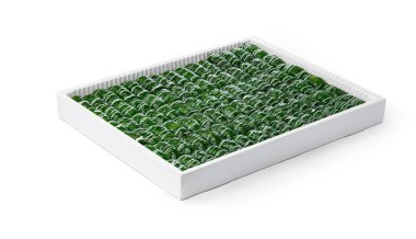 Beyaz bir kutuda Türk baklava tatlısı çeşitleri.