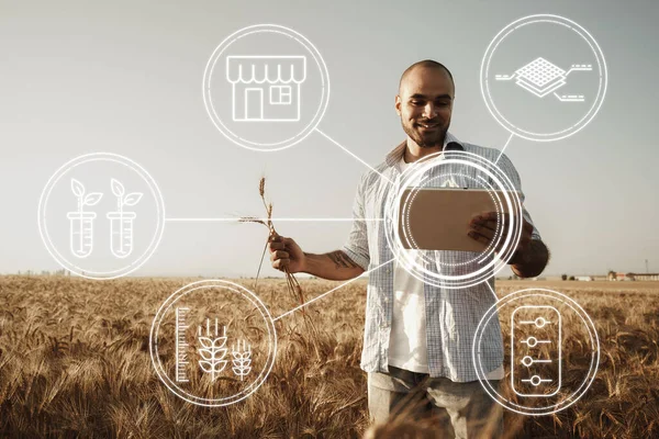 Mezőgazdasági termelő digitális táblával áll egy búzamezőn, modern technológiákat használva a mezőgazdaságban — Stock Fotó