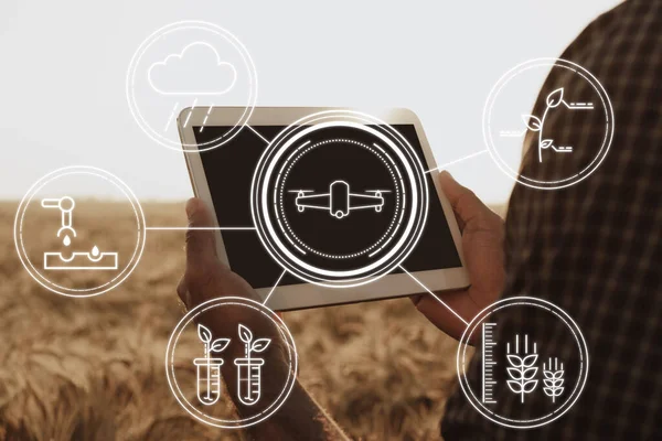 Mezőgazdasági termelő digitális táblával áll egy búzamezőn, modern technológiákat használva a mezőgazdaságban — Stock Fotó