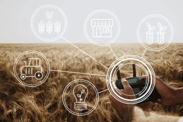 Rolnik stojący na polu pszenicy i kontrolujący drona. Technologie w koncepcji rolnictwa — Zdjęcie stockowe
