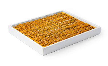 Beyaz bir kutuda Türk baklava tatlısı çeşitleri.