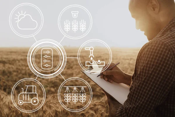 Человек делает заметки на планшете, стоя на пшеничном поле — стоковое фото