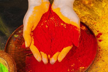 Holi pudra boyası tutan eller, yukarıdan manzara