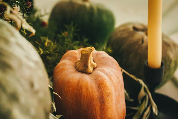 Rustikální podzimní výzdoba uspořádání s dýně close up — Stock fotografie