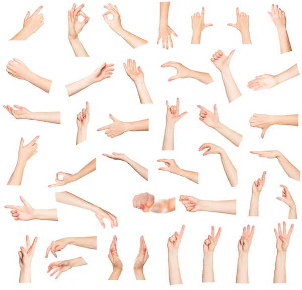 Set of many different hands — Stock Photo, Image