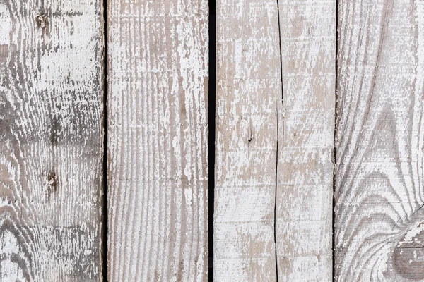 Wit hout achtergronden — Stockfoto