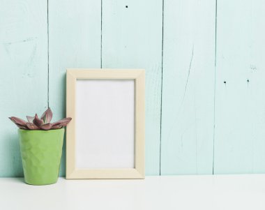 renkli tencereye bitki