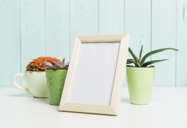 Succulents, karanfiller renkli tencere