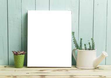 Succulents, karanfiller renkli tencere