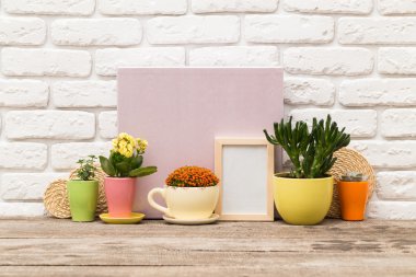 Succulents ile boş çerçeve