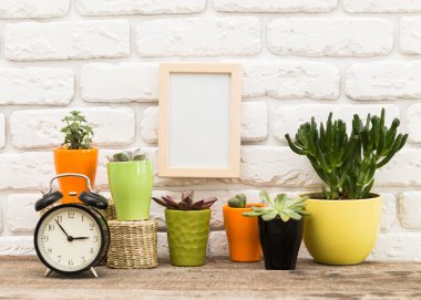 Succulents ile boş çerçeve