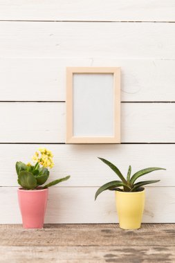 Succulents ile boş çerçeve