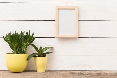 Succulents ile boş çerçeve,