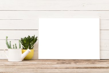 Succulents ile boş çerçeve