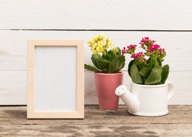 Succulents ile boş çerçeve