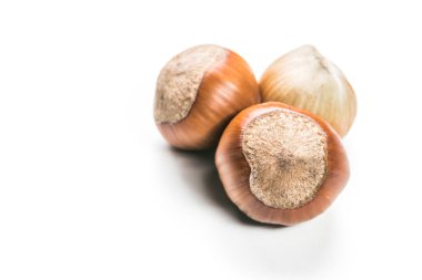 Beyaz arka planda fındıklar.