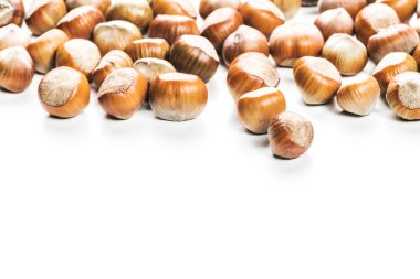 Beyaz arka planda fındıklar.