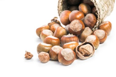 Beyaz arka planda fındıklar.