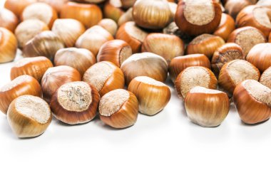 Fındıklar beyaz arka planda izole.