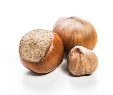 Fındıklar beyaz arka planda izole.