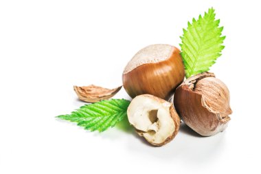 Fındıklar beyaz arka planda izole.