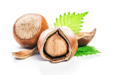 Fındıklar beyaz arka planda izole.