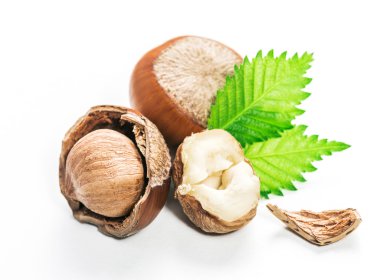 Fındıklar beyaz arka planda izole.